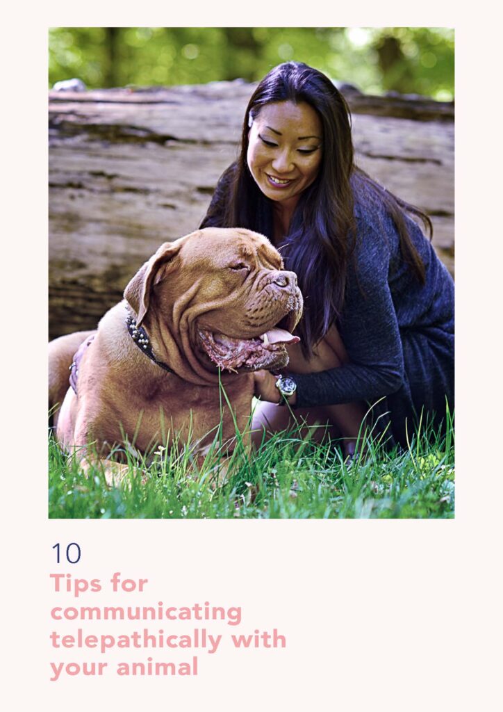 Ditte Young | Author | Animal communicator | Clairvoyant