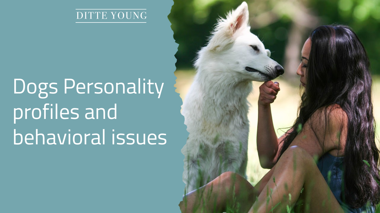 Ditte Young | Author | Animal communicator | Clairvoyant