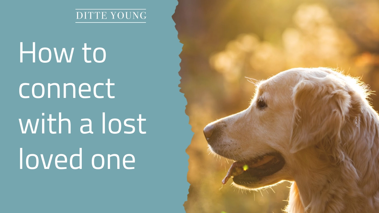 Ditte Young | Author | Animal communicator | Clairvoyant