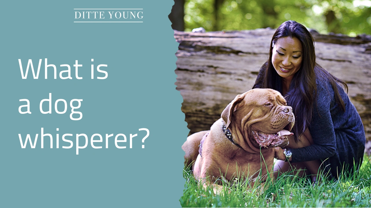 Ditte Young | Author | Animal communicator | Clairvoyant