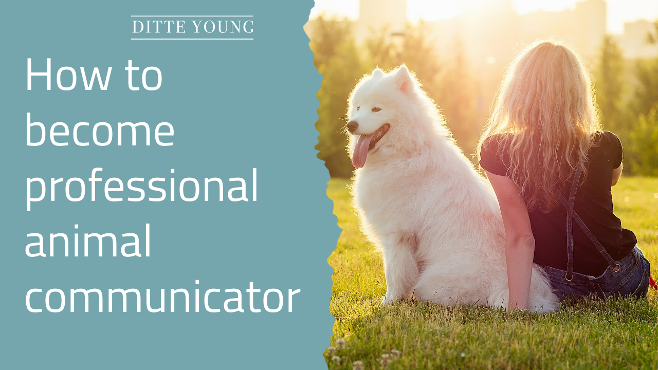 Ditte Young | Author | Telepath I Animal communicator | Clairvoyant