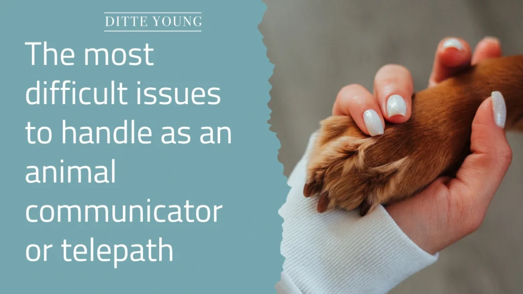 Ditte Young | Author | Animal communicator | Animal Telepathy