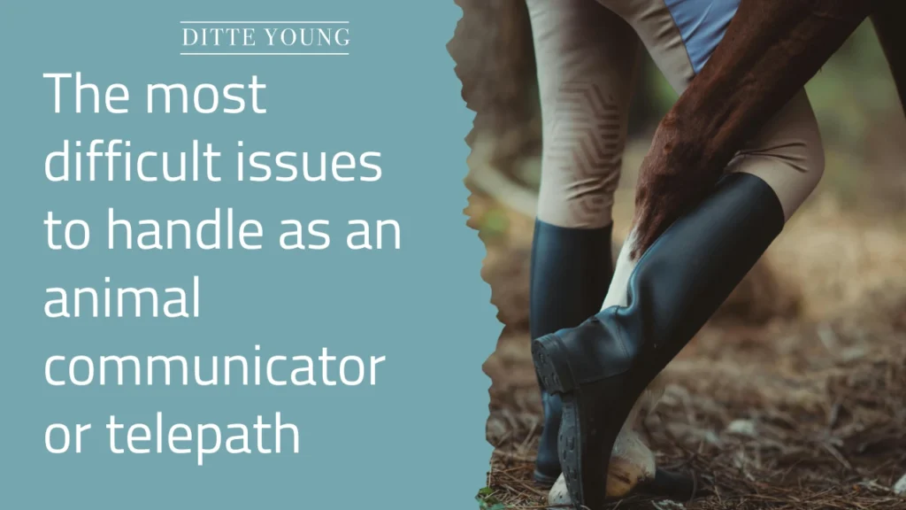 Ditte Young | Author | Animal communicator | Animal Telepathy