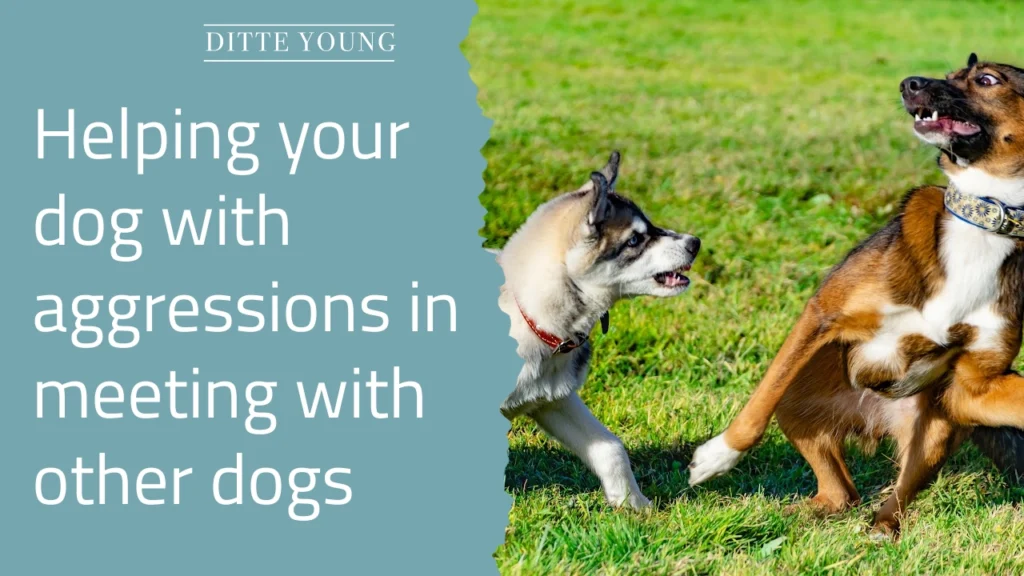 Ditte Young | Author | Animal communicator | Animal Telepathy