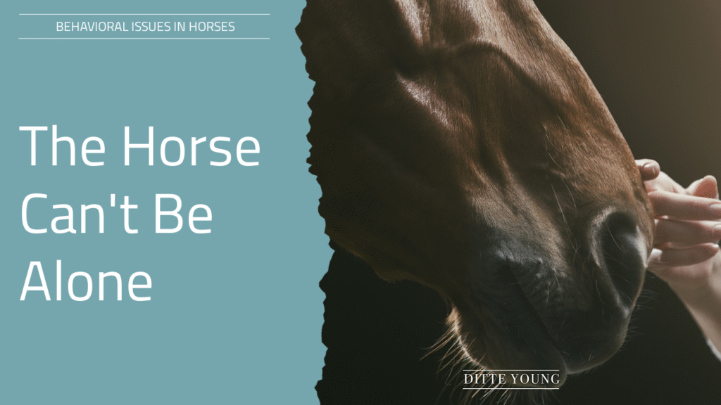 Ditte Young | Author | Animal communicator | Animal Telepathy