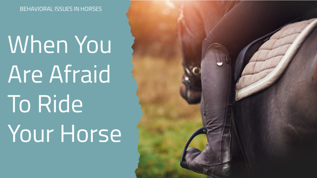 Ditte Young | Author | Animal communicator | Animal Telepathy