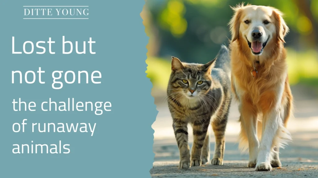 Ditte Young | Author | Animal communicator | Animal Telepathy