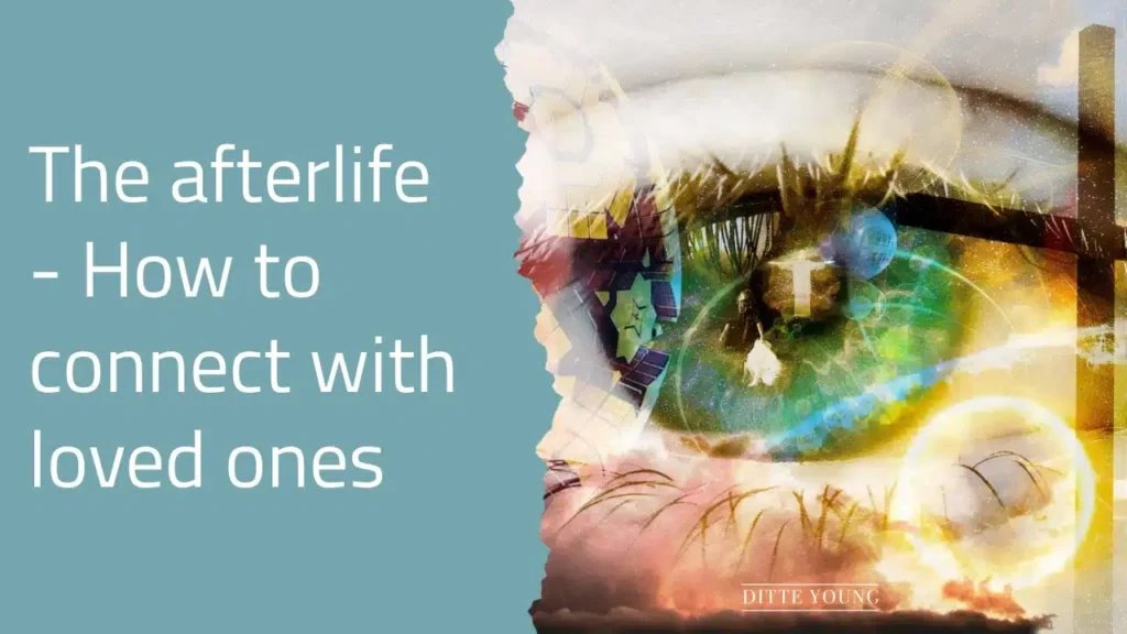 Ditte Young | Author | Animal communicator | Animal Telepathy