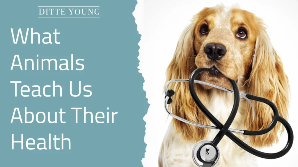 Ditte Young | Author | Animal communicator | Animal Telepathy