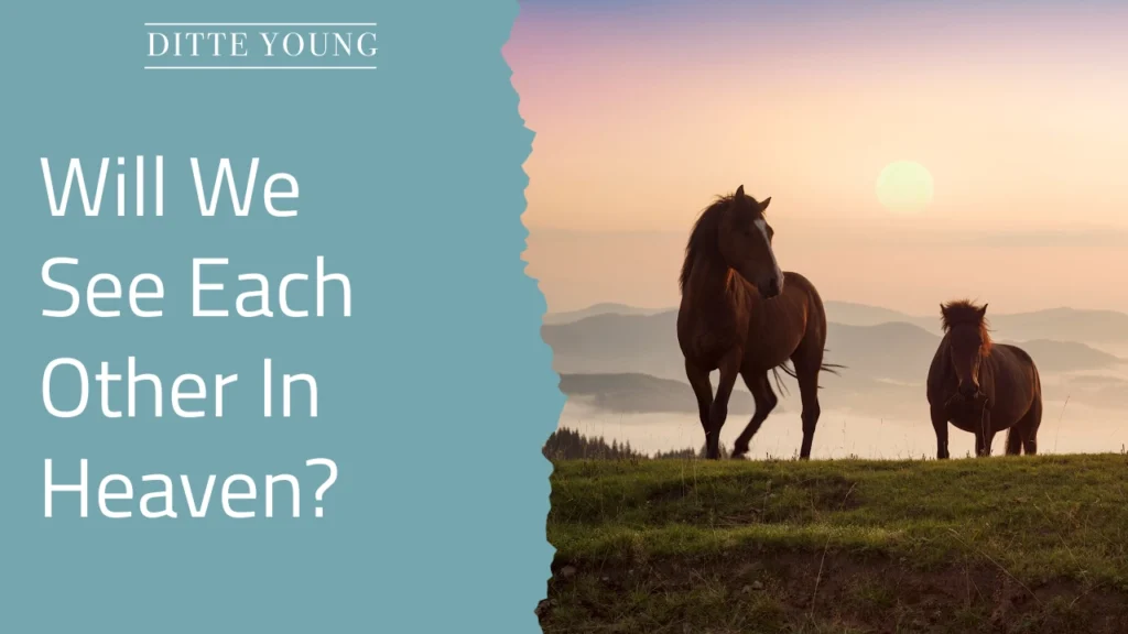 Ditte Young | Author | Animal communicator | Animal Telepathy