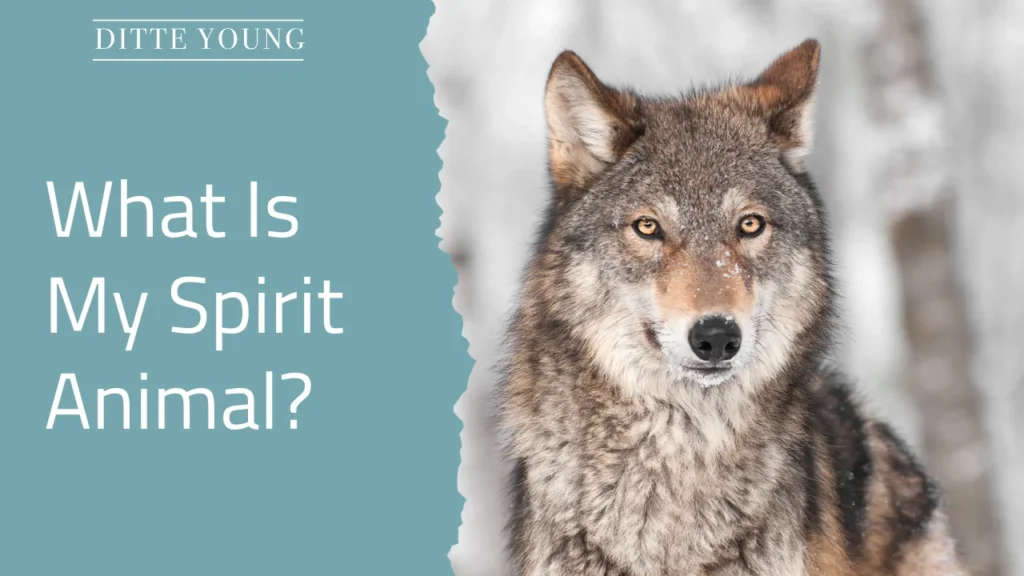 Ditte Young | Author | Animal communicator | Animal Telepathy