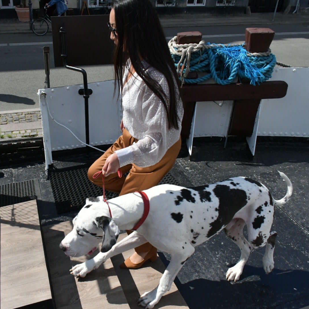 Ditte Young | Author | Animal communicator | Animal Telepathy