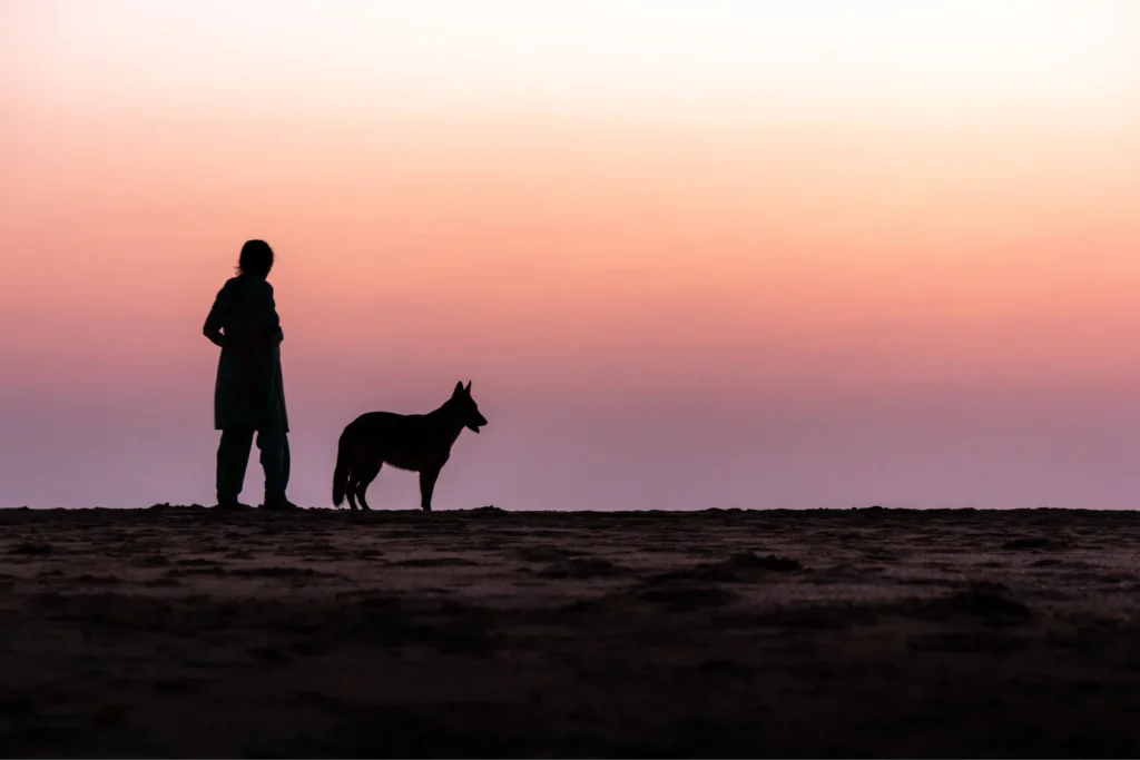 Ditte Young | Author | Animal communicator | Animal Telepathy