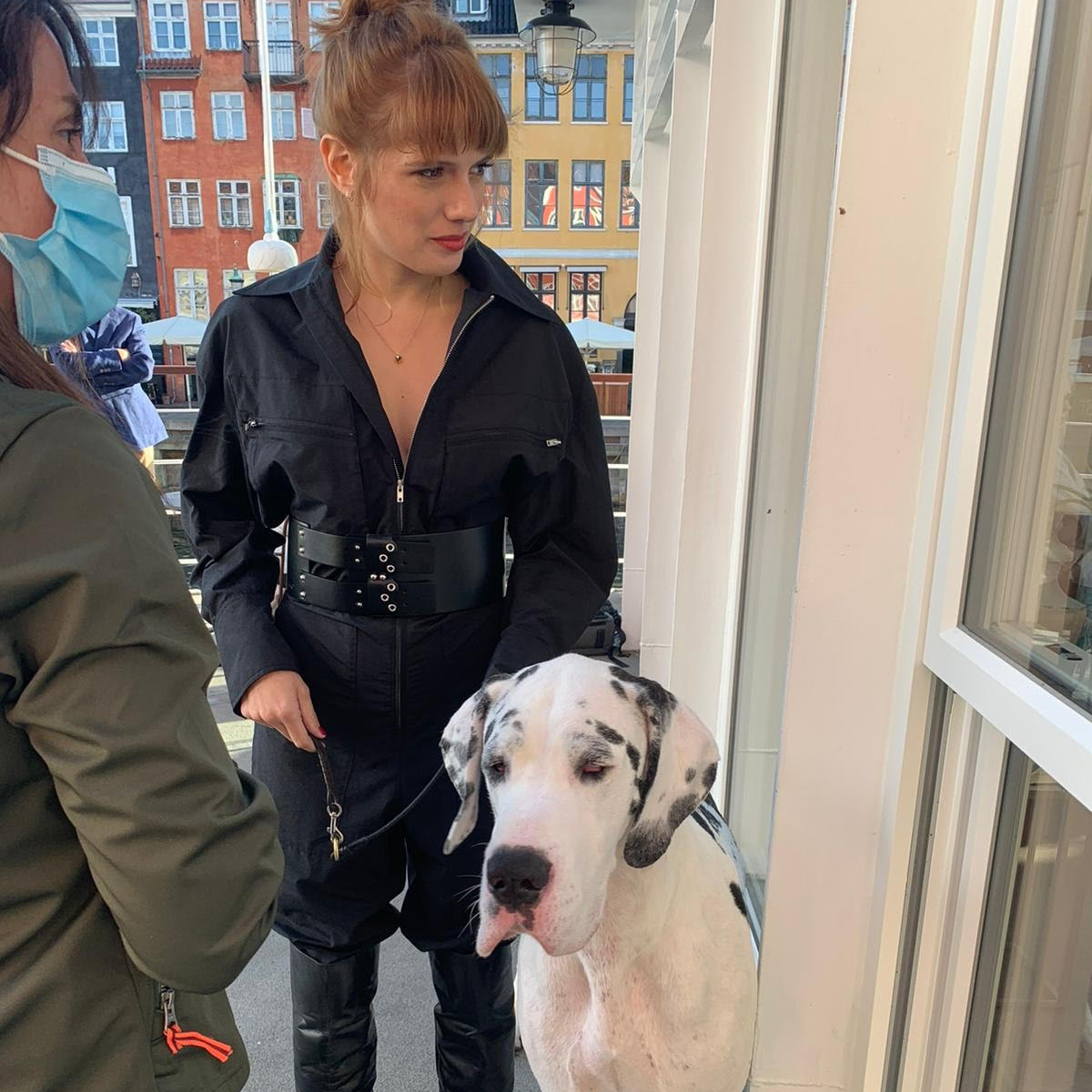 Ditte Young | Author | Animal communicator | Animal Telepathy